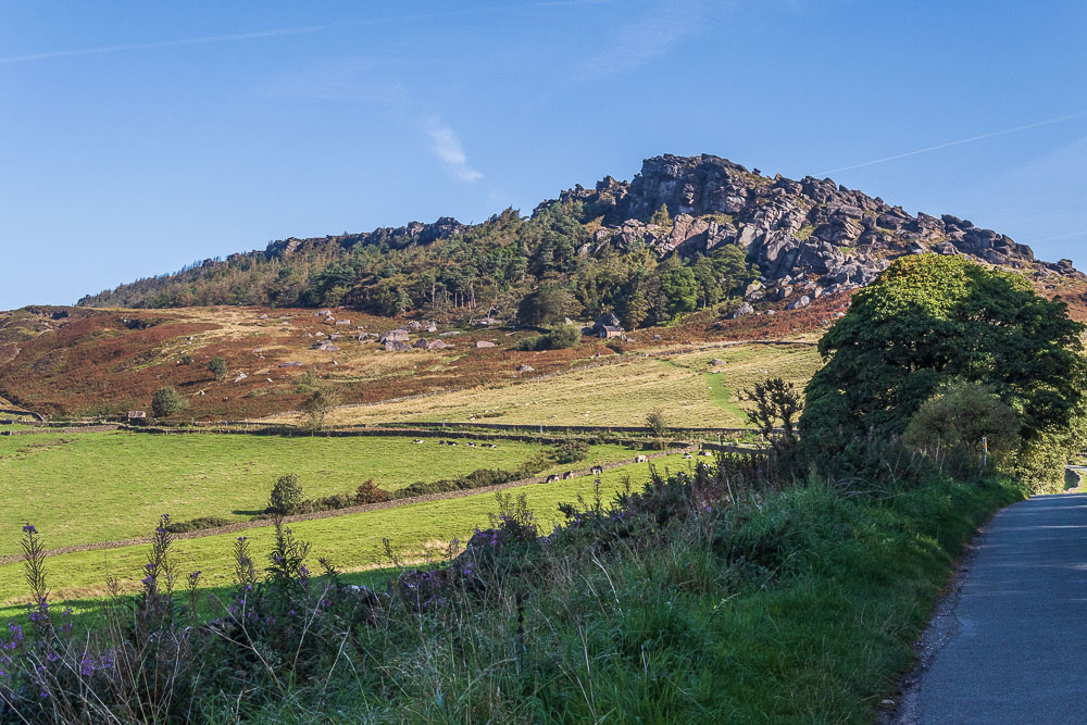 The Roaches The Roaches